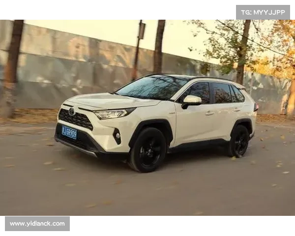 全新RAV4荣放DS-CVT,赢在起点 全新RAV4荣放DS-CVT,赢在起点