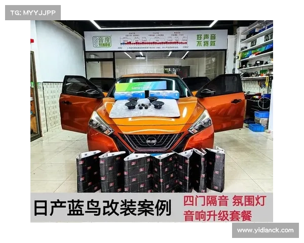 全新蓝鸟大玩改装,演绎年轻潮酷范 全新蓝鸟大玩改装,演绎年轻潮酷范
